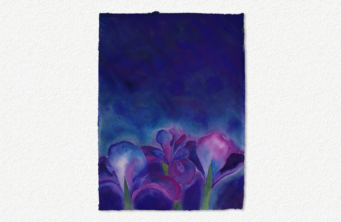 Iris Before the Storm II (2006)