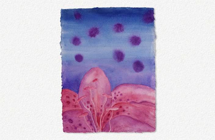 Lilium (2004)