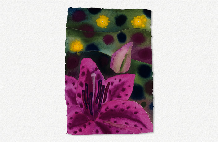 Lilium IV (2004)