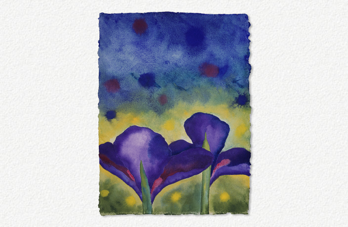 Iris at Sunset II (2006)